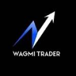 WagmiTrader LLC profile picture