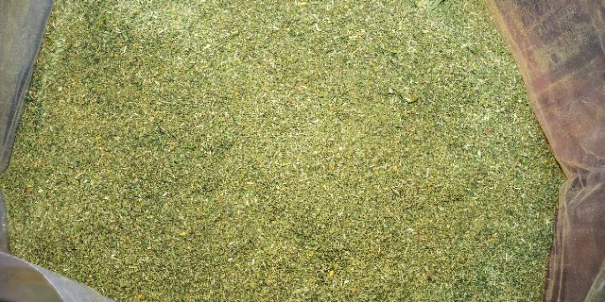 Premium Cannabis Shake Weed | A Comprehensive Guide for Smart Consumers