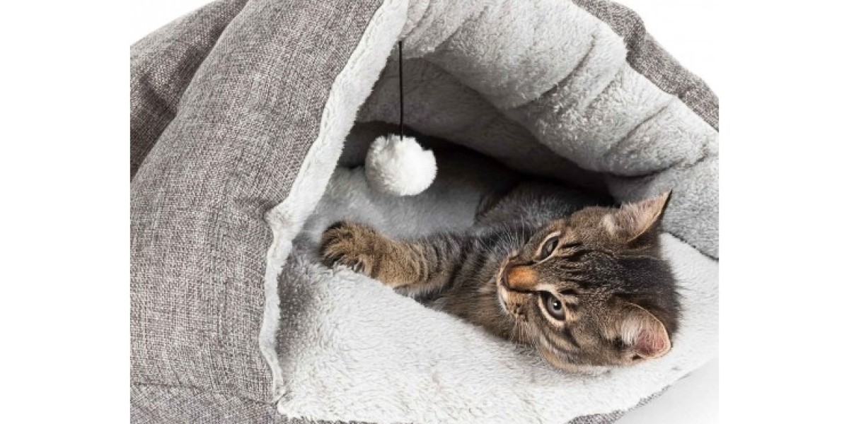 Why Your Cat Hides: Understanding Feline Stress and the Need for Private Retreats