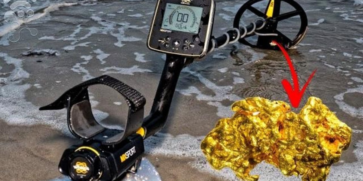 Mastering the Art of Treasure Hunting with Metal Detector and Gold Detector