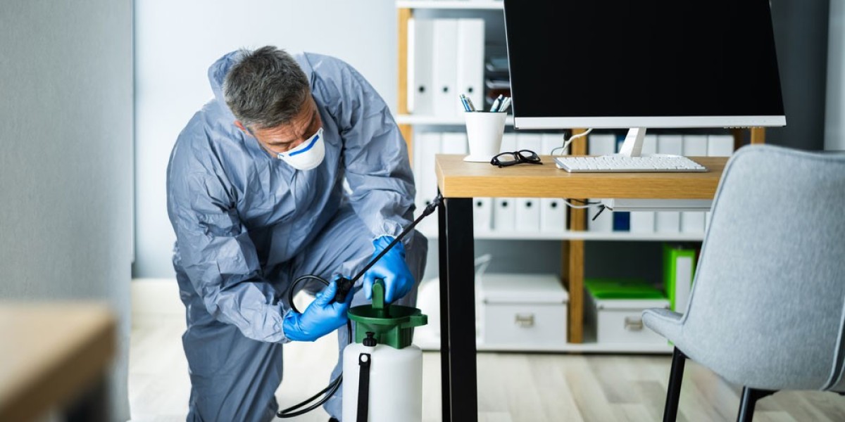 Expert Pest Control Coolangatta – Protecting Coastal Properties Effectively