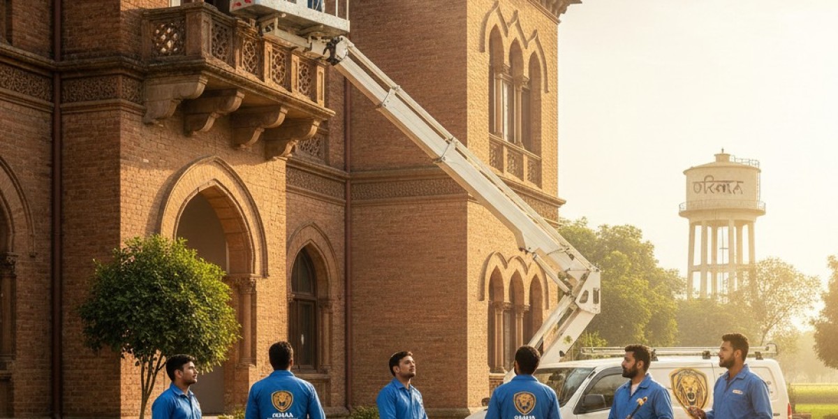 Pest Control Services in Okara: How VenusPest Protects Your Home and Business