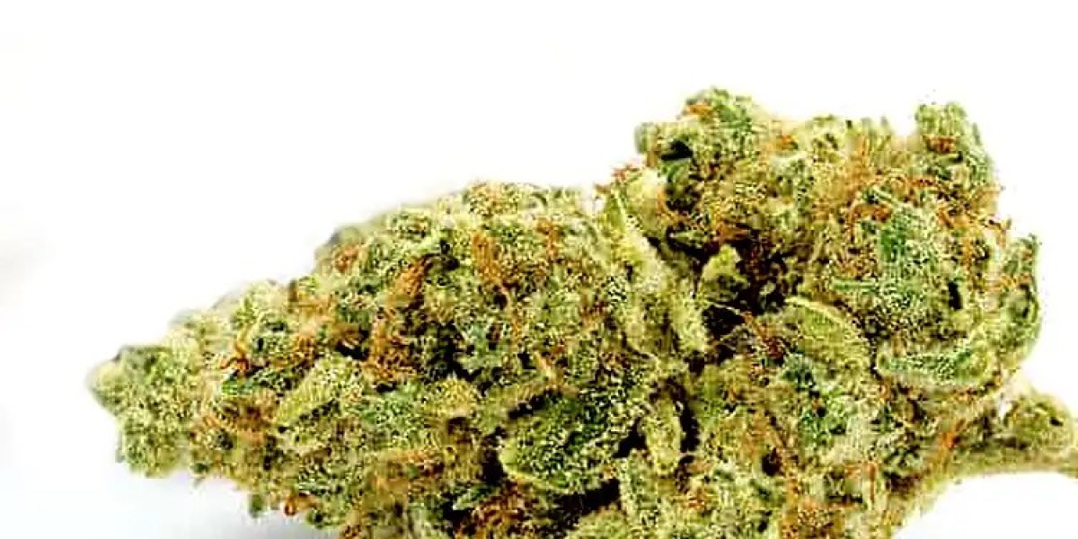 Zaza Feminized Seeds | Premium Cannabis Seeds USA