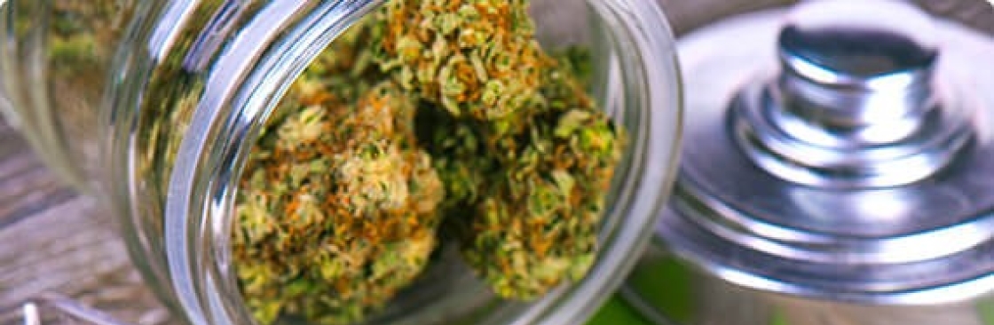 Green Therapy Cover Image