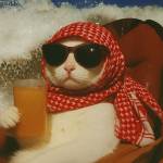 ross geller Profile Picture