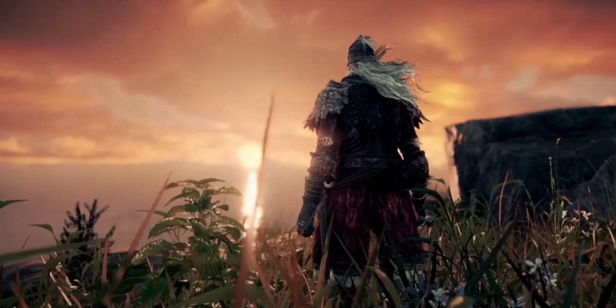 MMOexp-Elden Ring: Ultimate Dexterity-Faith Setup