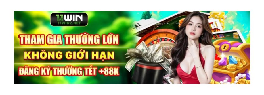 11WIN 2NET Cover Image