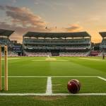 daddyonlinecricketid profile picture