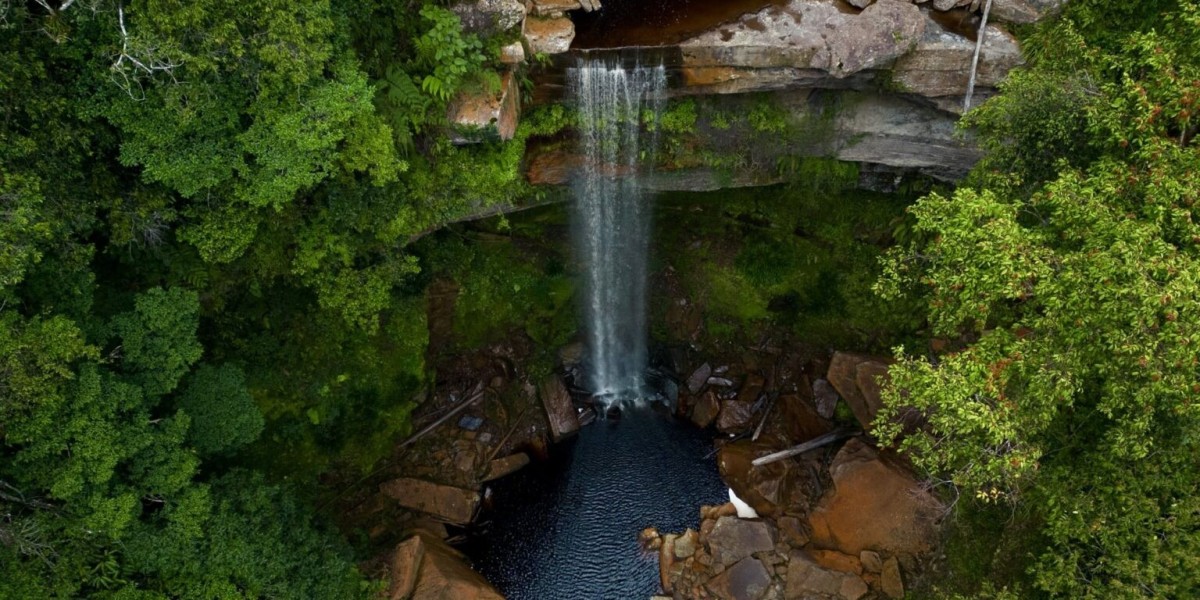 Exploring the Untouched Rainforest of Borneo: A Journey into Nature's Heart