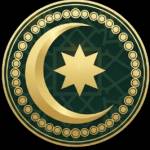 daily islamic Profile Picture