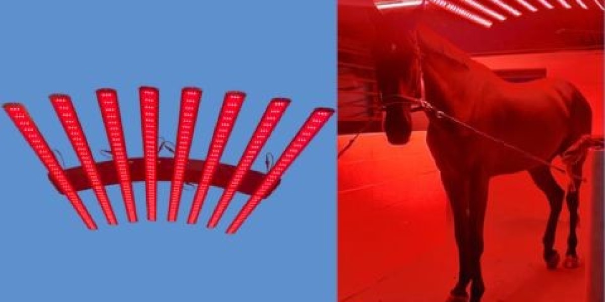 Revolutionize Horse Care with Advanced Equine Light Therapy