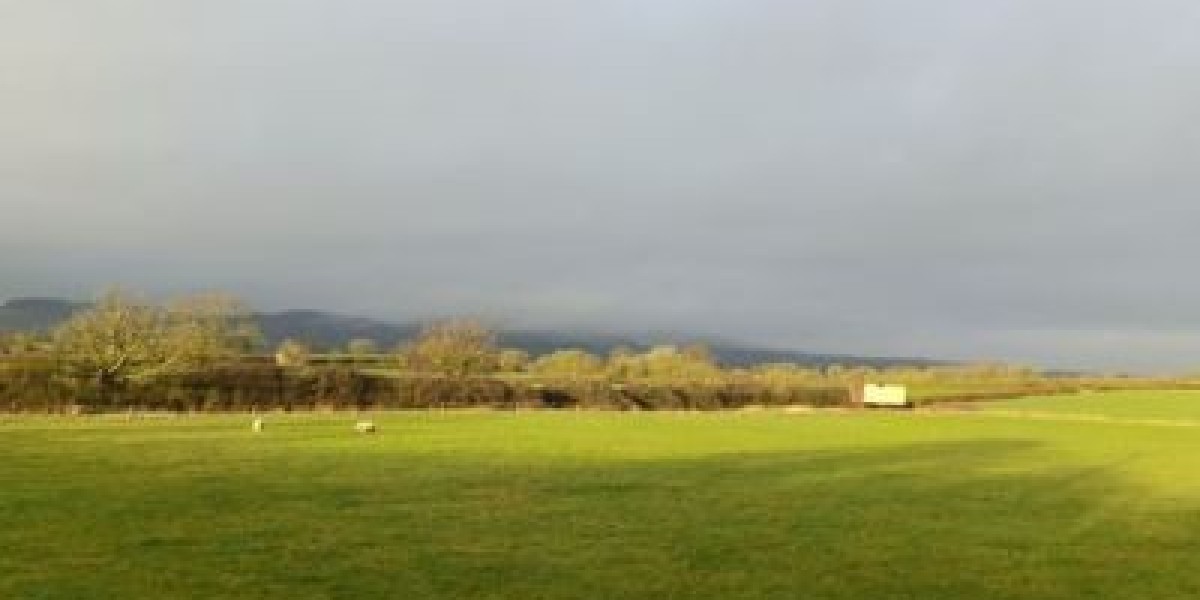 Where Can I Find a Spiritual Teacher? A Practical Guide for Seekers