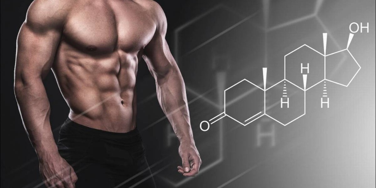Sustanon 250 at 1 ml per Week: Dosage Breakdown, Realistic Expectations, and Important Warnings
