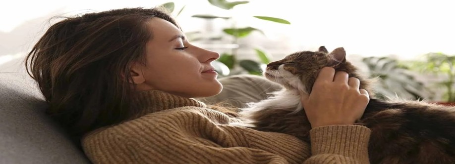 We Love Cats and Kittens Cover Image