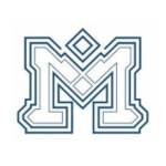 Manaviya Tech Solutions profile picture