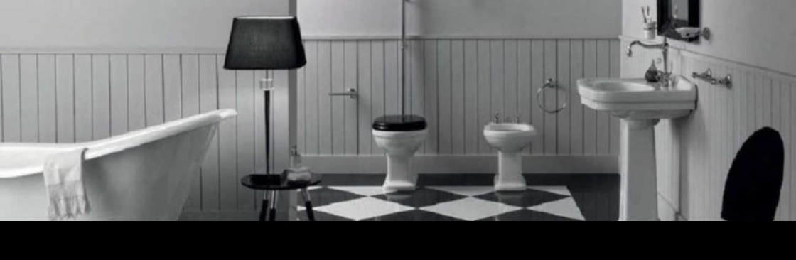 Saniterica Cover Image