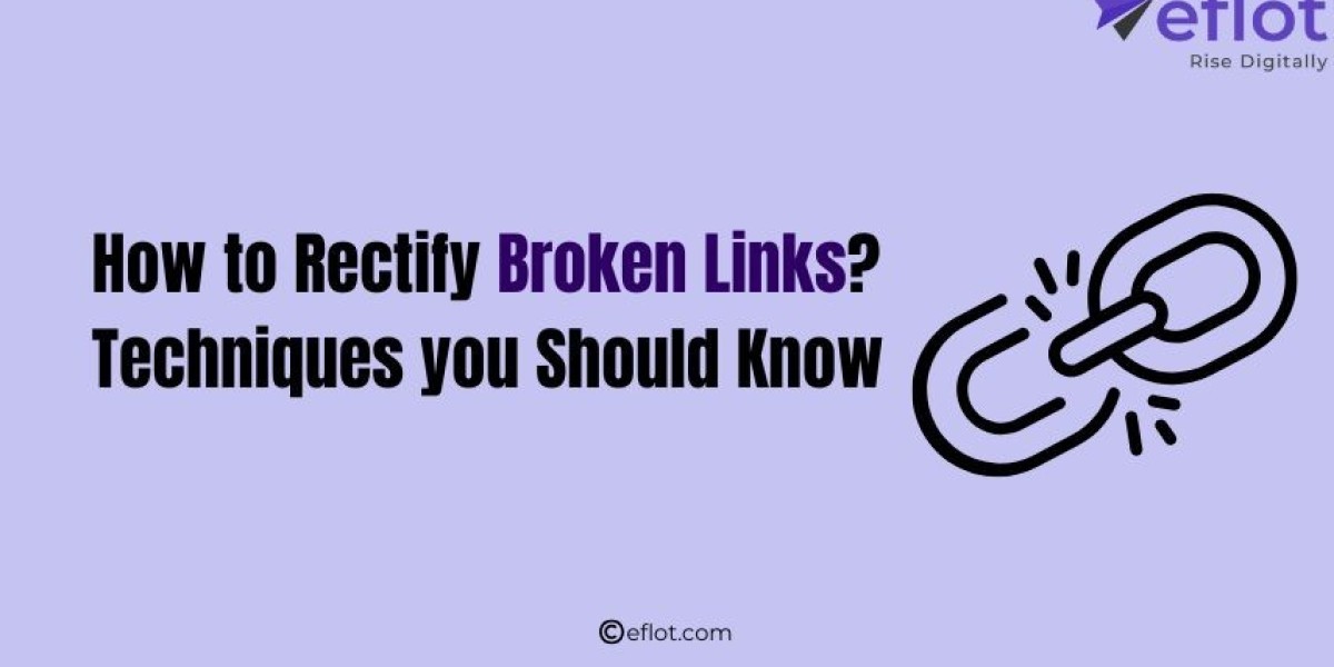 How to Rectify Broken Links? Techniques you Should Know