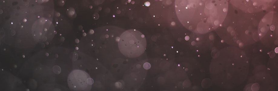 shadaplin08954 Cover Image